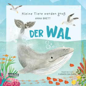 Kleine Tiere werden groß der Wal Sachbuch für Kinder ab 3 Jahren