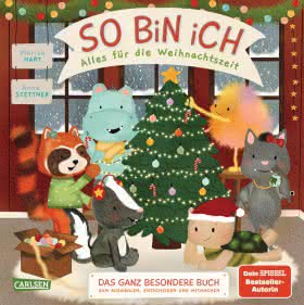 So bin ich alles für die Weihnachtszeit ab 2 Jahren