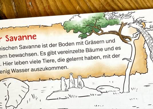 Conni Gelbe Reihe (Beschäftigungsbuch): Tierischer Mal- und Bastelspaß