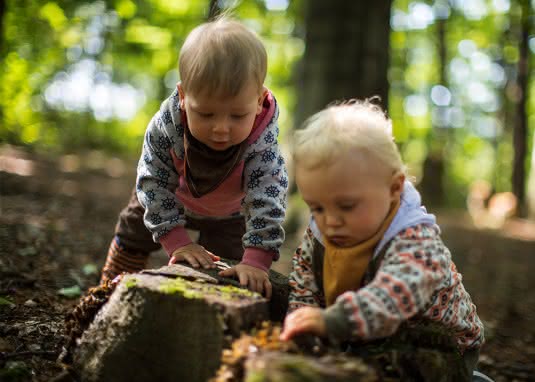 Kinder spielen im wald