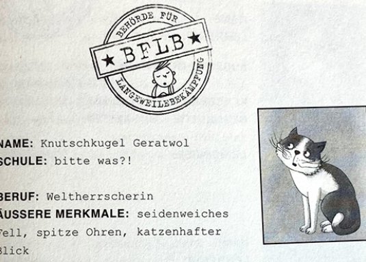 Die unlangweiligste Schule der Welt 8: Das Klassentreffen Sabrina J Kirschner Kinderbuch ab 8 Jahren