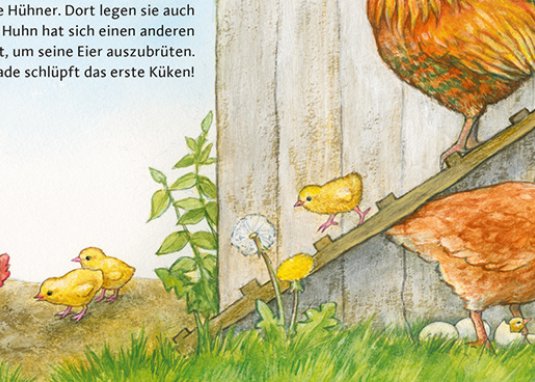 Hör Mal auf dem Bauernhof Soundbuch Kinderbuch ab 2 Jahren