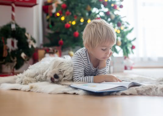 Buch-Adventskalender - tolle Adventskalender-Ideen zum Lesen