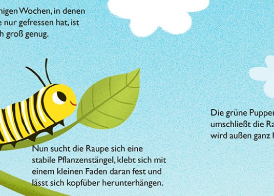 Von der kleinen Raupe zum Schmetterling ab 2 Jahren