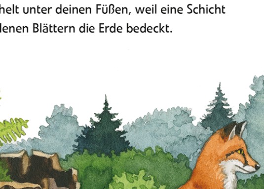 Maxi Pixi Entdecke den Wald ab 3 Jahren