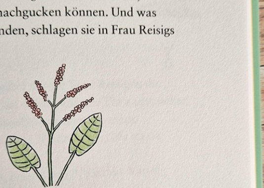 Conni und das Abenteuer in der Wildnis ab 7 Jahren