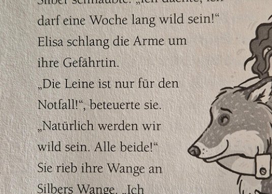 Die Schule der magischen Tiere Endlich Ferien Elisa und Silber ab 8 Jahren