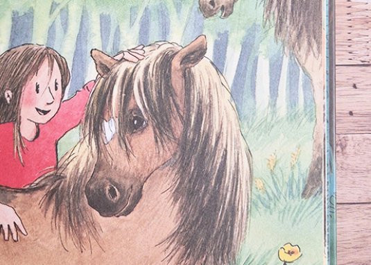 Ponyherz und Herr Franz ein Mops zieht aus einfach lesen lernen ab 5 Jahren