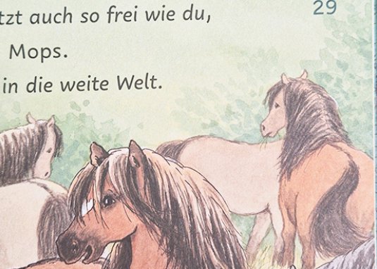 Ponyherz und Herr Franz ein Mops zieht aus einfach lesen lernen ab 5 Jahren