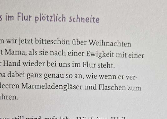 Ein Weihnachtswunder namens Fred Vorlesebuch ab 6 Jahren