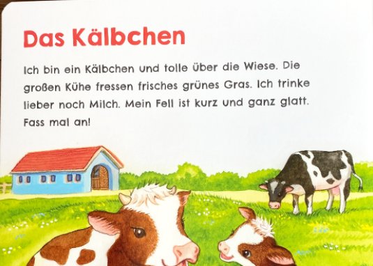 Hör mal wie ich schnattern kann Streicheln Soundbuch Bauernhoftiere Kinderbuch Pappenbuch ab 1 Jahr Bild 2